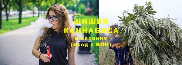 дмт Аркадак