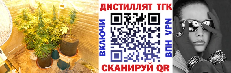 цена наркотик Строитель ТГК THC oil