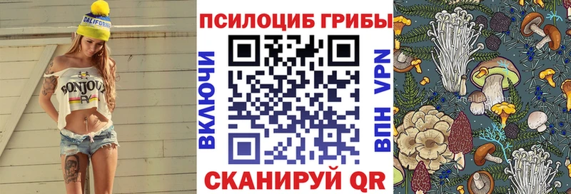 гидра вход  Строитель  Галлюциногенные грибы Magic Shrooms 
